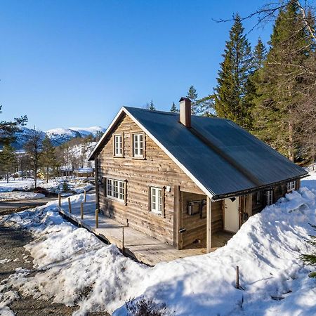 Norgesferie I Sirdal Villa Sinnes Exterior foto